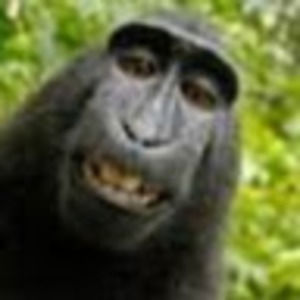 Meet your Posher, Brooklyn